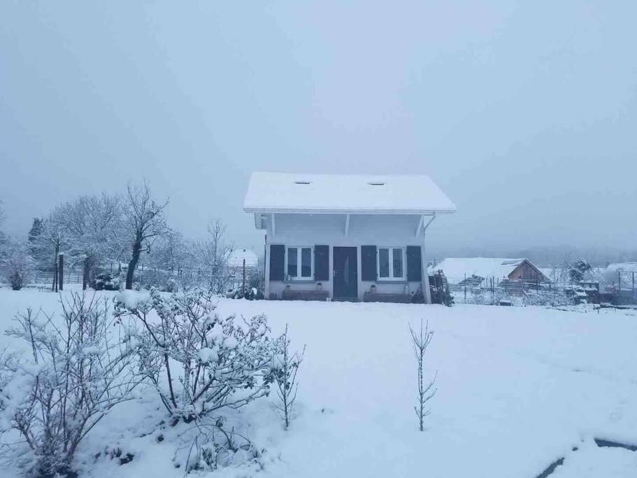 Gite Le Charmot, Au Pied Des Montagnes Classe 3* Roderen Eksteriør billede